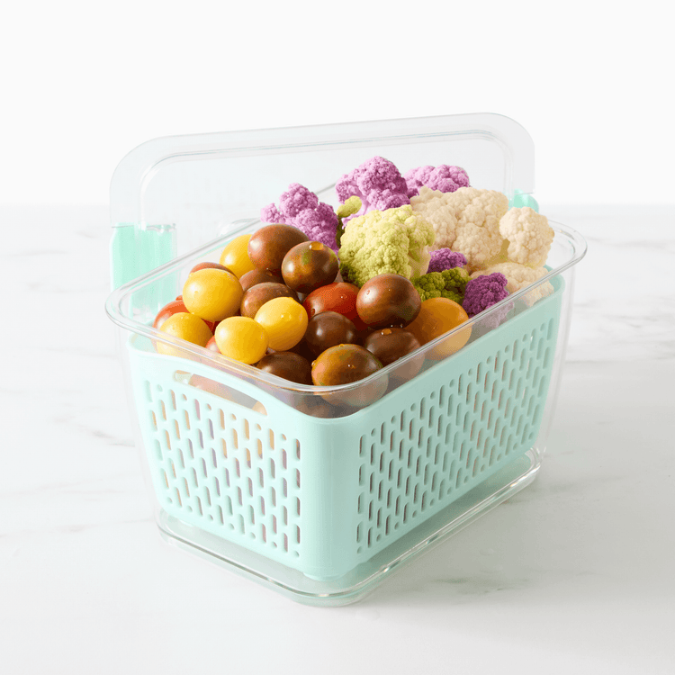 Fridge Storage Container