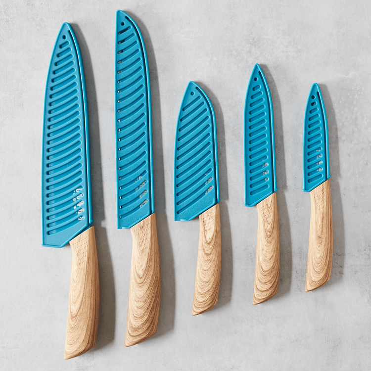 Wood Handle Knives (10 Piece Set)